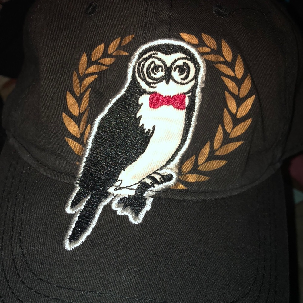 owl ballcap